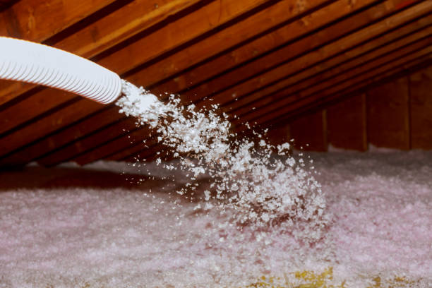 Best Spray Foam Insulation in Lemoore, CA