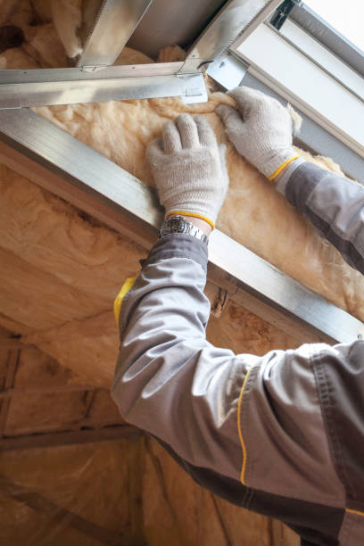 Best Specialized Insulation Services in Lemoore, CA