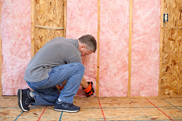 Best Geographic-Specific Insulation Services in Lemoore, CA