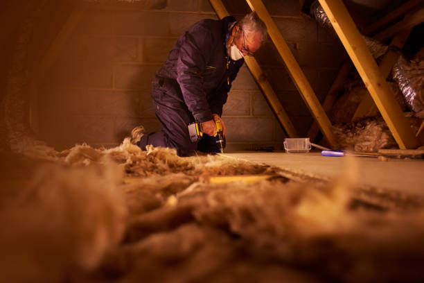 Best Cellulose Insulation in Lemoore, CA